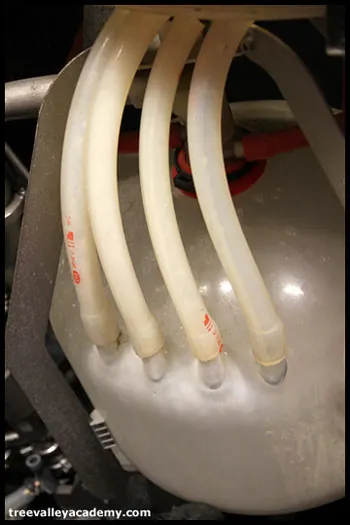 milk holding tank